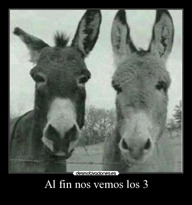 Al fin nos vemos los 3 - 