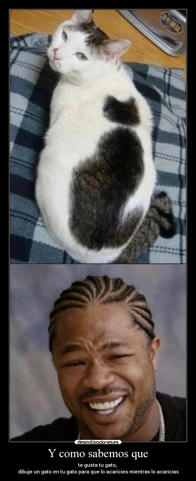 Y como sabemos que - te gusta tu gato, 
dibuje un gato en tu gato para que lo acaricies mientras lo acaricias