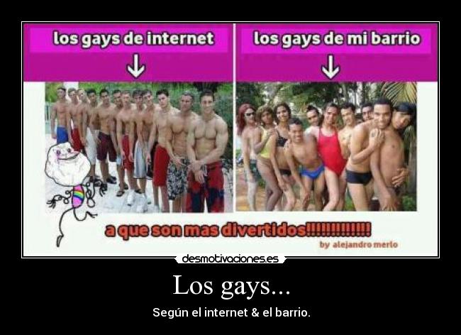 Los gays... - Según el internet & el barrio.