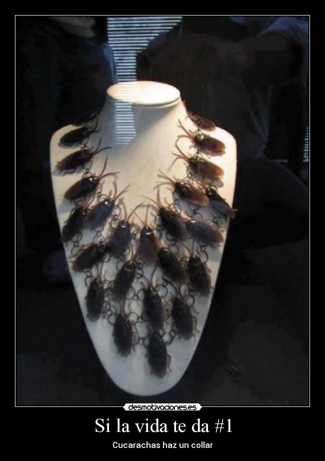 carteles vida vida desmotivaciones