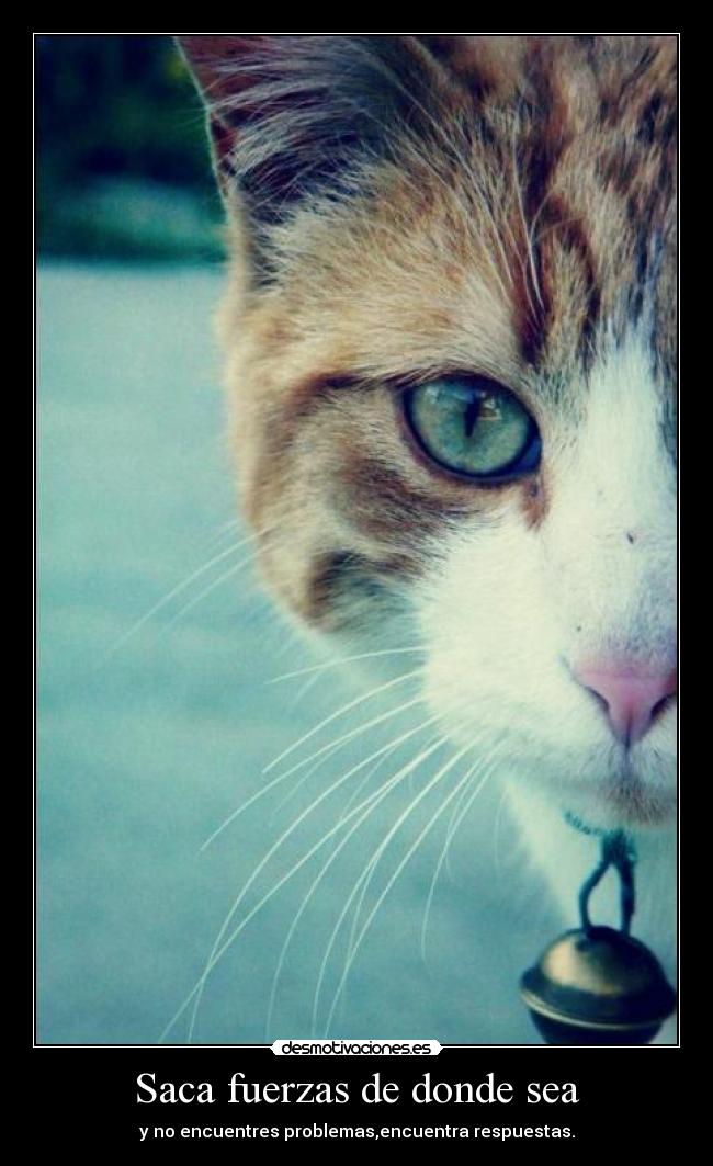 Saca fuerzas de donde sea -
