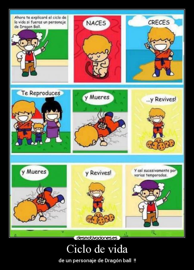 Ciclo de vida - de un personaje de Dragón ball !!