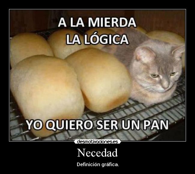 Necedad -