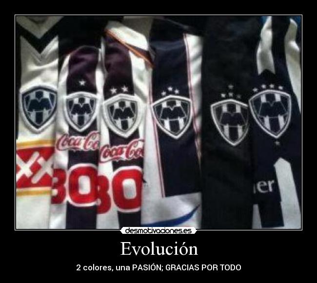 Evolución - 