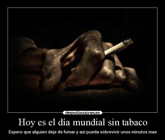 Hoy es el día mundial sin tabaco - Espero que alguien deje de fumar y así pueda sobrevivir unos minutos mas