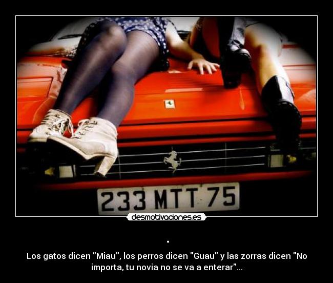 . - Los gatos dicen Miau, los perros dicen Guau y las zorras dicen No
importa, tu novia no se va a enterar...