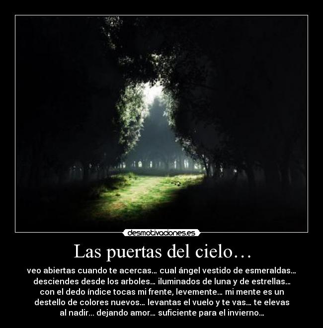 Las puertas del cielo… - veo abiertas cuando te acercas… cual ángel vestido de esmeraldas…
desciendes desde los arboles… iluminados de luna y de estrellas…
con el dedo índice tocas mi frente, levemente… mi mente es un
destello de colores nuevos… levantas el vuelo y te vas… te elevas
al nadir... dejando amor… suficiente para el invierno…