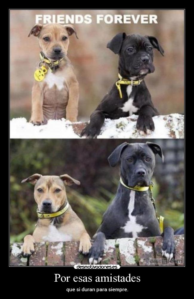 Por esas amistades - que si duran para siempre.