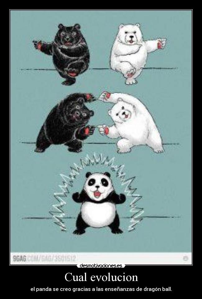 carteles evolucion del panda desmotivaciones