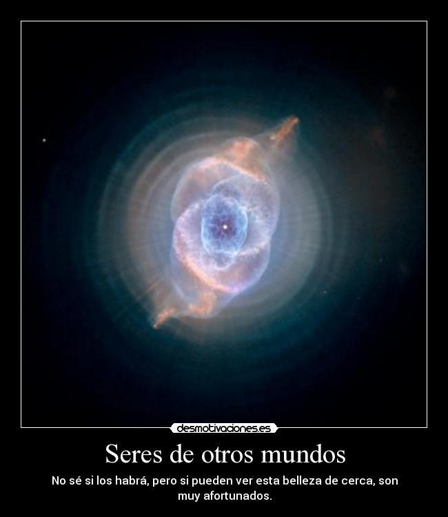 Seres de otros mundos - No sé si los habrá, pero si pueden ver esta belleza de cerca, son muy afortunados.