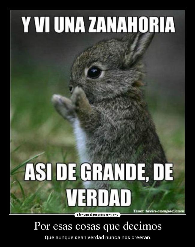 Por esas cosas que decimos - Que aunque sean verdad nunca nos creeran.