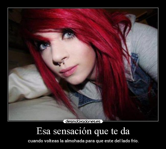 carteles francys zambrano desmotivaciones