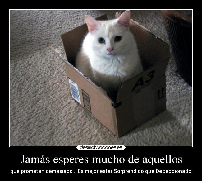 Jamás esperes mucho de aquellos - que prometen demasiado ...Es mejor estar Sorprendido que Decepcionado!