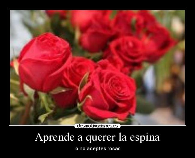 Aprende a querer la espina - o no aceptes rosas