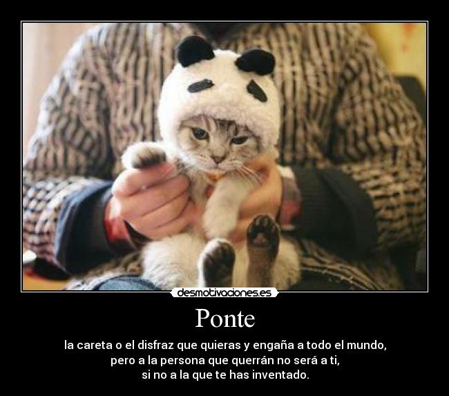 Ponte -