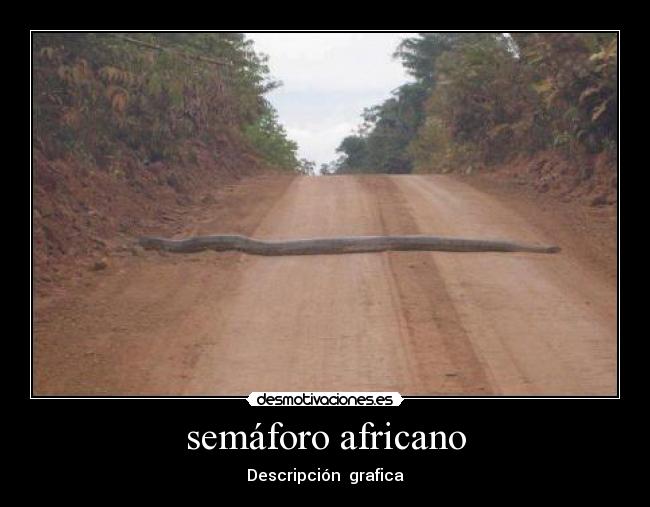 semáforo africano - 