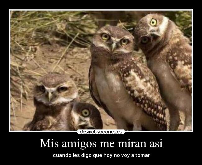 Mis amigos me miran asi - 