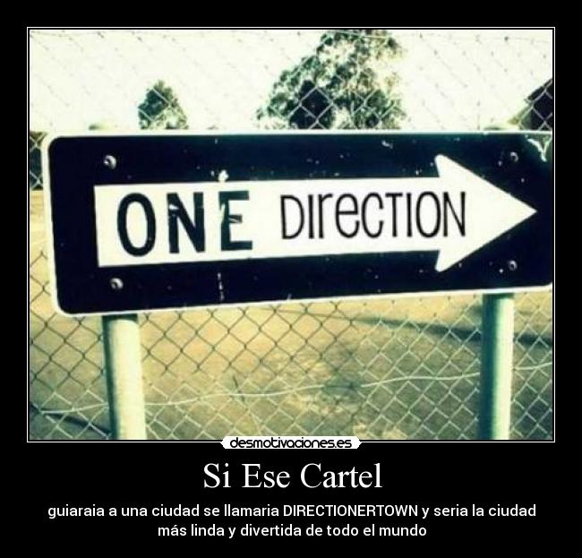 Si Ese Cartel - guiaraia a una ciudad se llamaria DIRECTIONERTOWN y seria la ciudad
más linda y divertida de todo el mundo