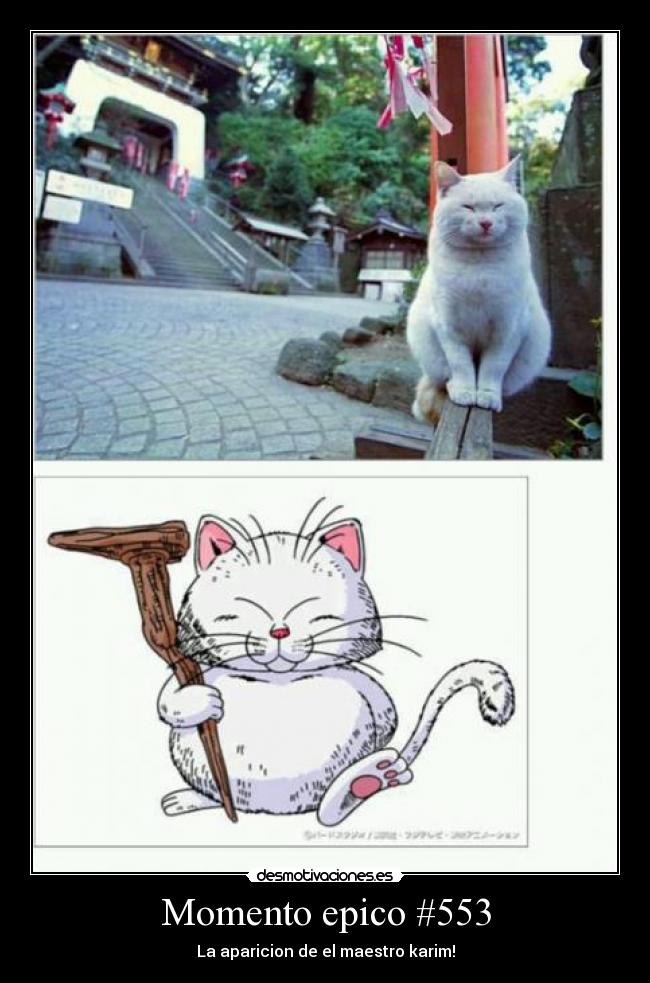 Momento epico #553 - La aparicion de el maestro karim!