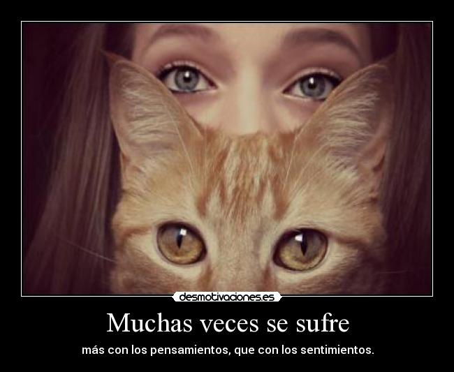 Muchas veces se sufre - 