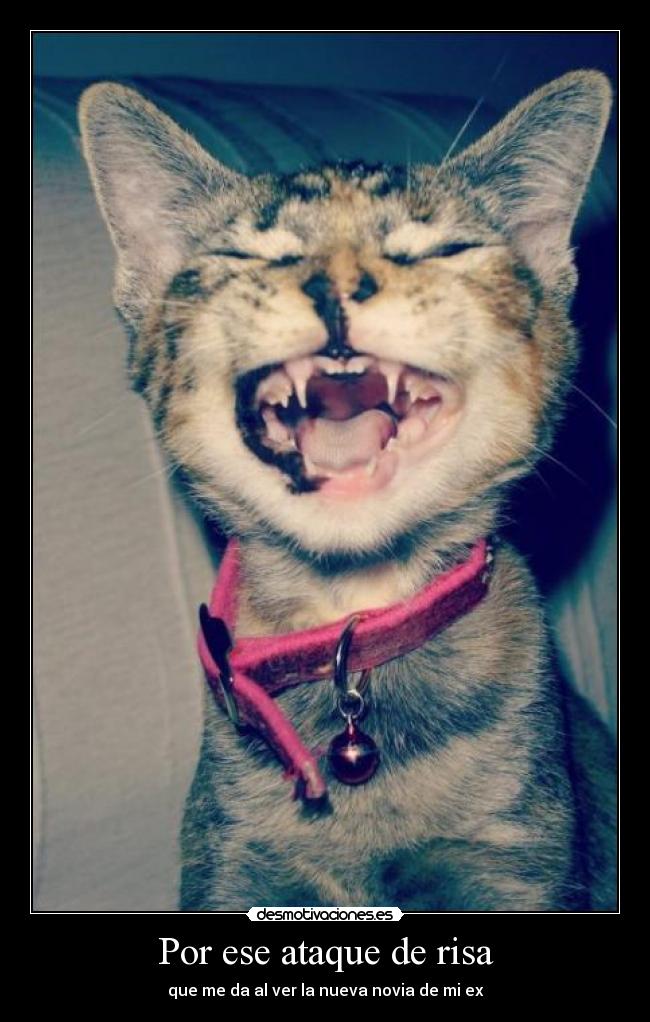 Por ese ataque de risa - 
