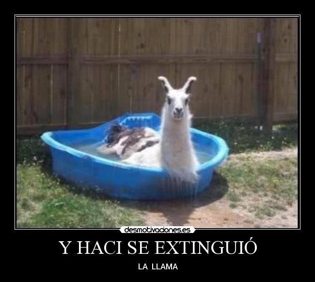 Y HACI SE EXTINGUIÓ -