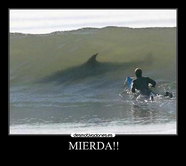 MIERDA!! - 