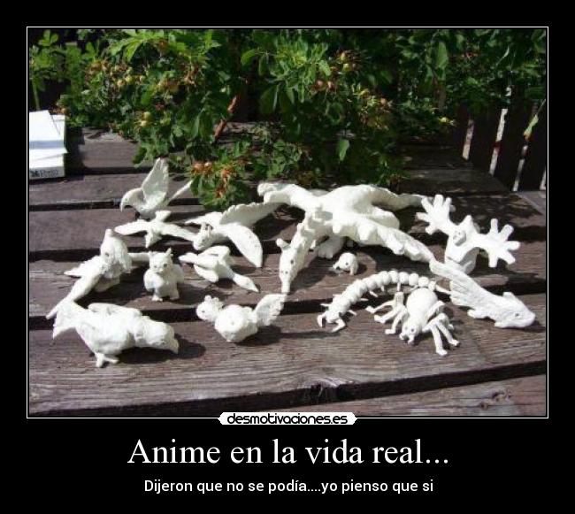 Anime en la vida real... -