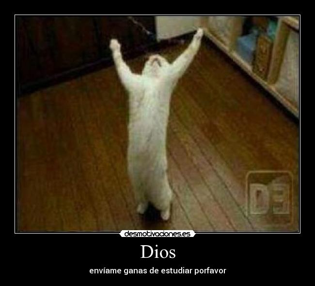 Dios -