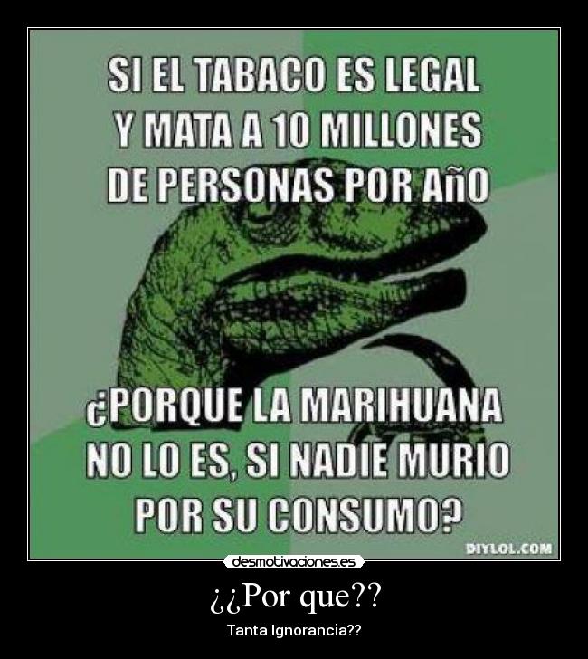 ¿¿Por que?? -