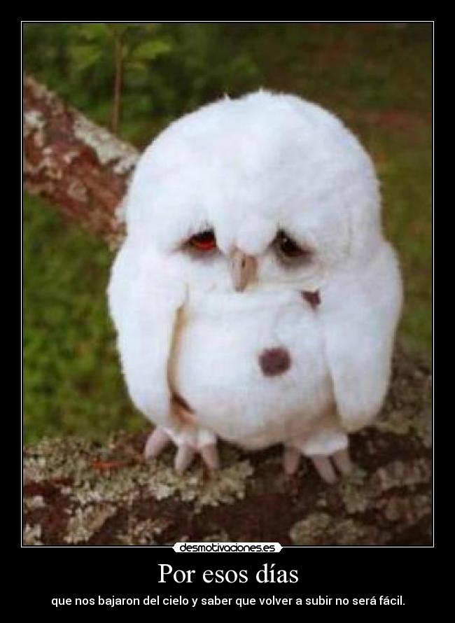 Por esos días - que nos bajaron del cielo y saber que volver a subir no será fácil.