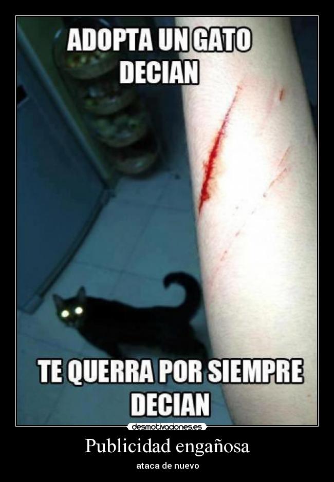 Publicidad engañosa - ataca de nuevo