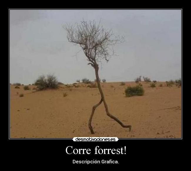 carteles corre forrest desmotivaciones