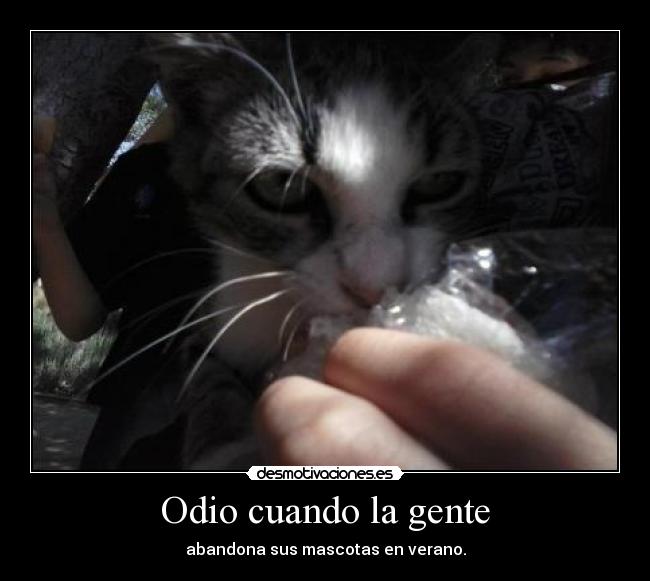 Odio cuando la gente - 