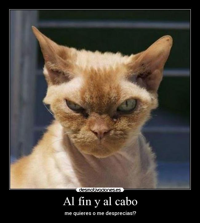 Al fin y al cabo - me quieres o me desprecias!?