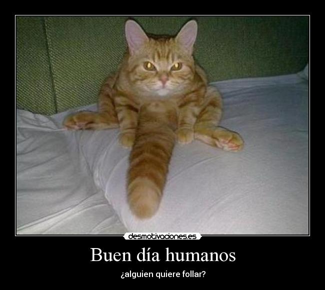 Buen día humanos - 