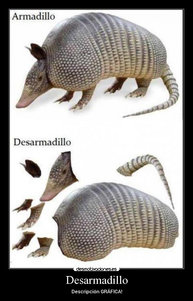 carteles desmotivaciones