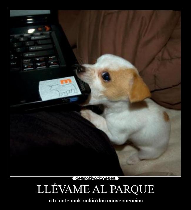 LLÉVAME AL PARQUE - o tu notebook sufrirá las consecuencias