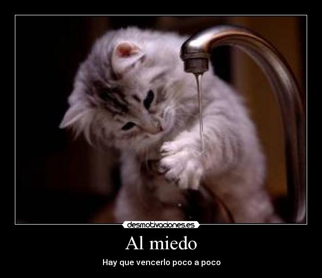 Al miedo - 