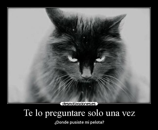 carteles gato pacino desmotivaciones