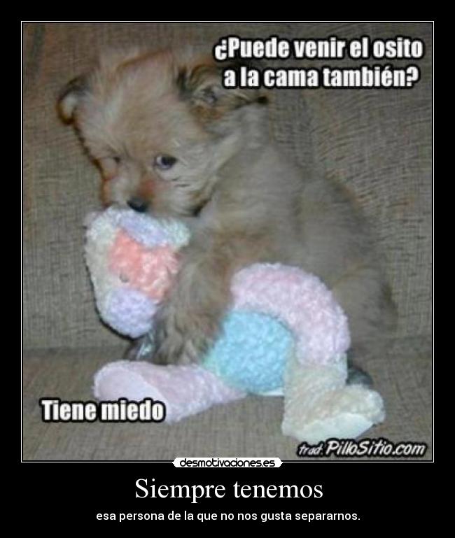 carteles amor desmotivaciones