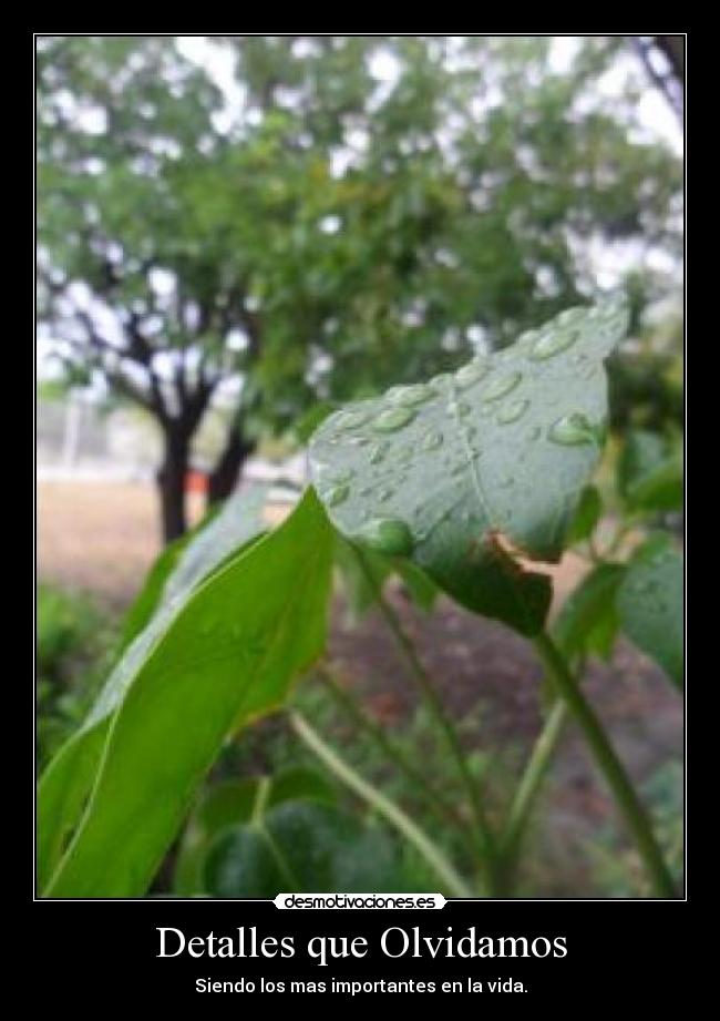 Detalles que Olvidamos - Siendo los mas importantes en la vida.