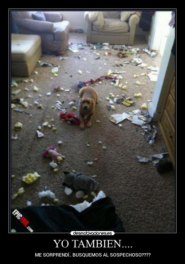YO TAMBIEN.... - ME SORPRENDÍ.. BUSQUEMOS AL SOSPECHOSO????