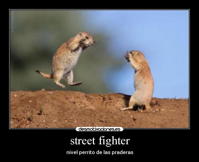 street fighter -