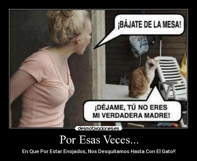 Por Esas Veces... - En Que Por Estar Enojados, Nos Desquitamos Hasta Con El Gato!!