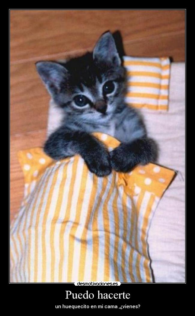 Puedo hacerte - 