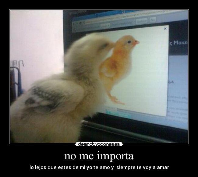 no me importa - 