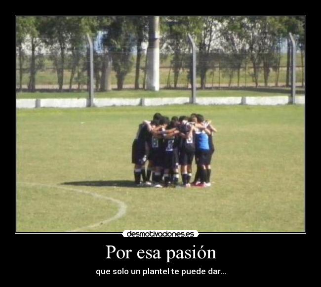 carteles cjcjc desmotivaciones