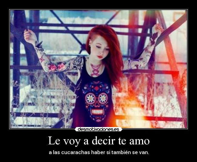 Le voy a decir te amo -
