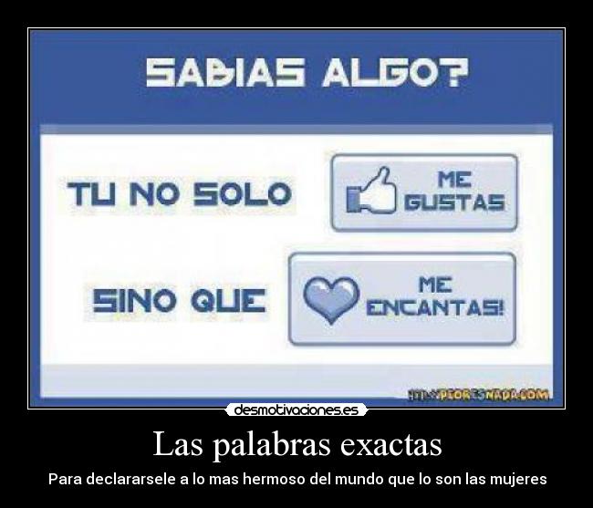 Las palabras exactas - Para declararsele a lo mas hermoso del mundo que lo son las mujeres